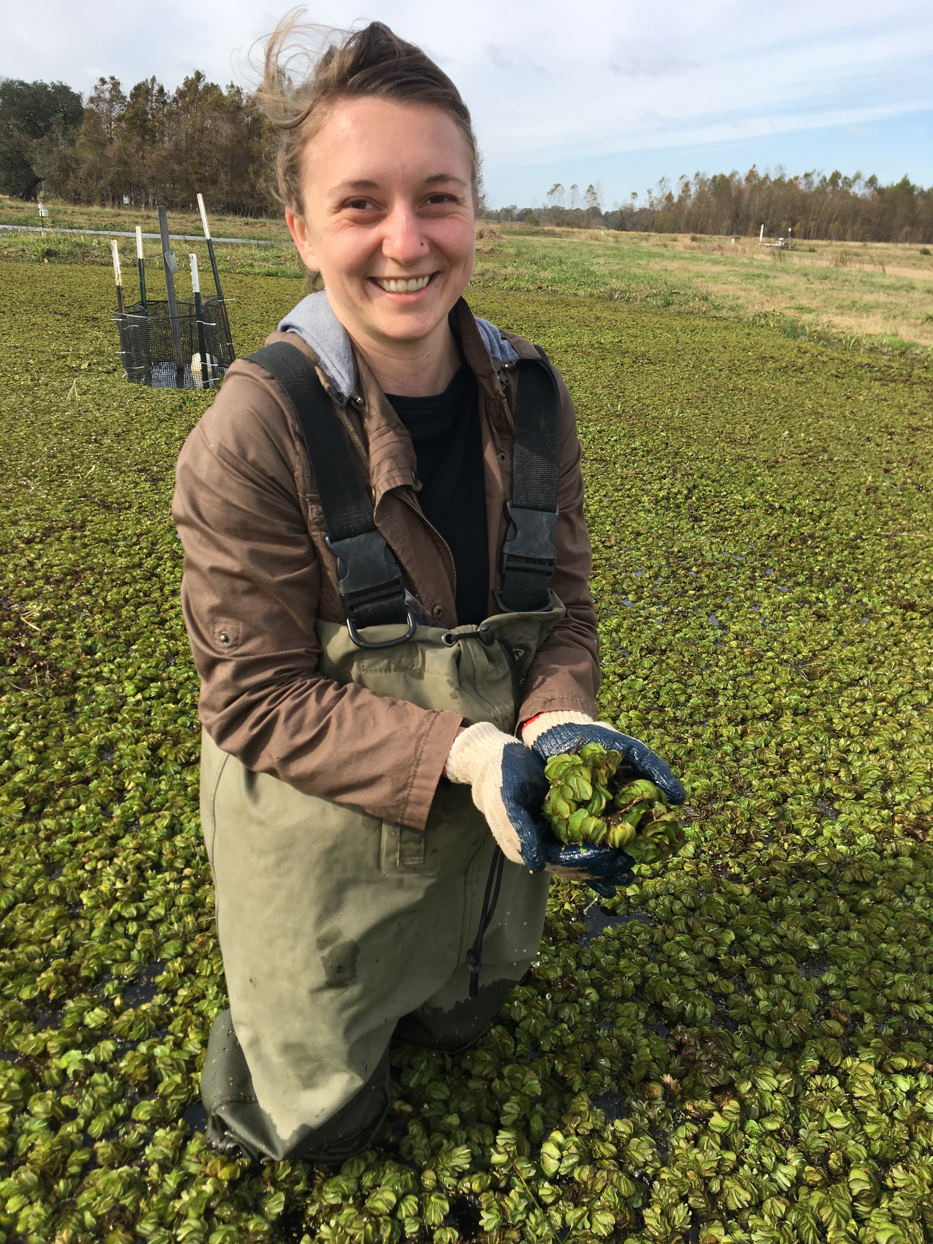 LSU College of Agriculture News for Summer 2021